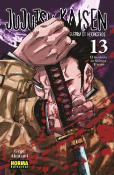 JUJUTSU KAISEN 13