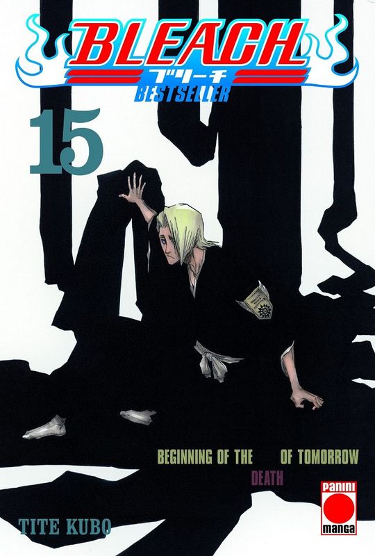 Bleach Vol. 15