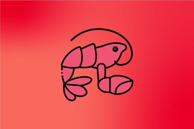Otros Mariscos