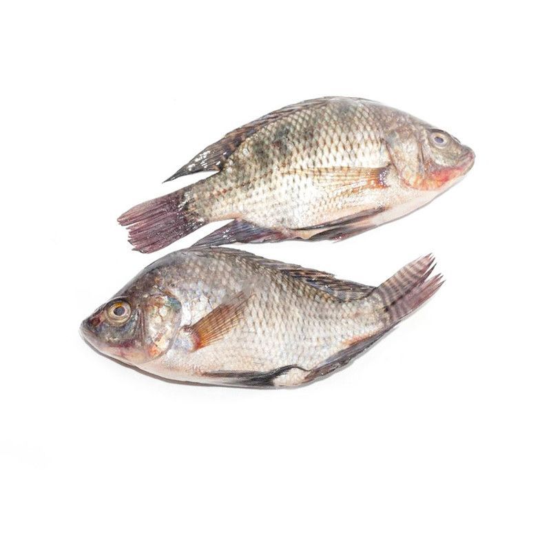 Pescado Enter Tilapia Gris Lb