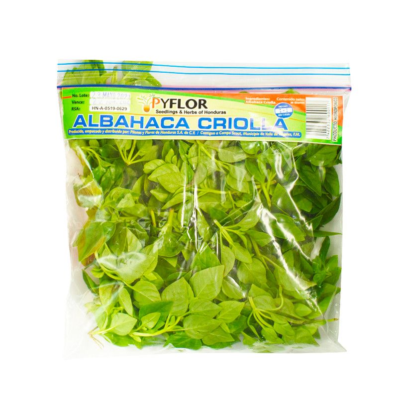 Albahaca Criolla
