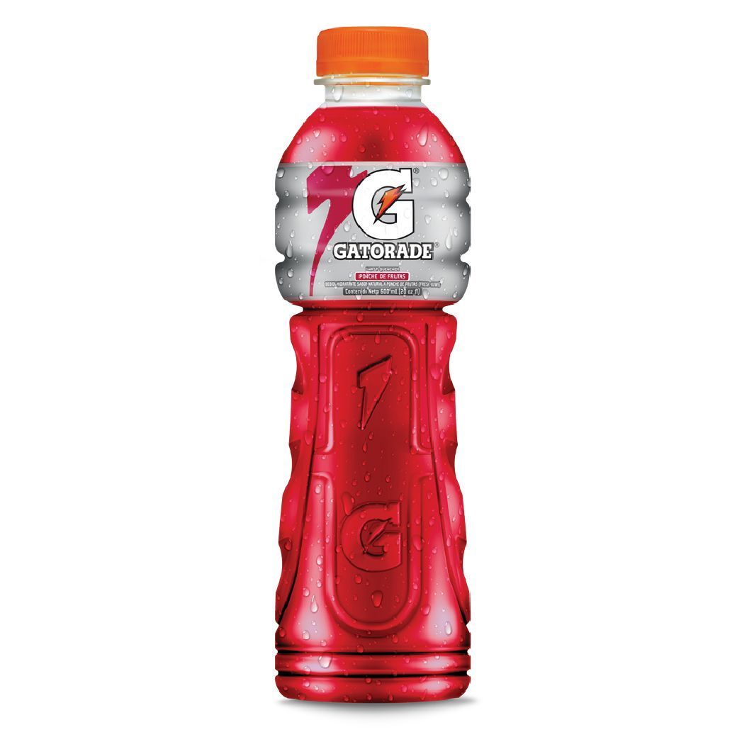 Gatorade Ponche De Fruta 600ml