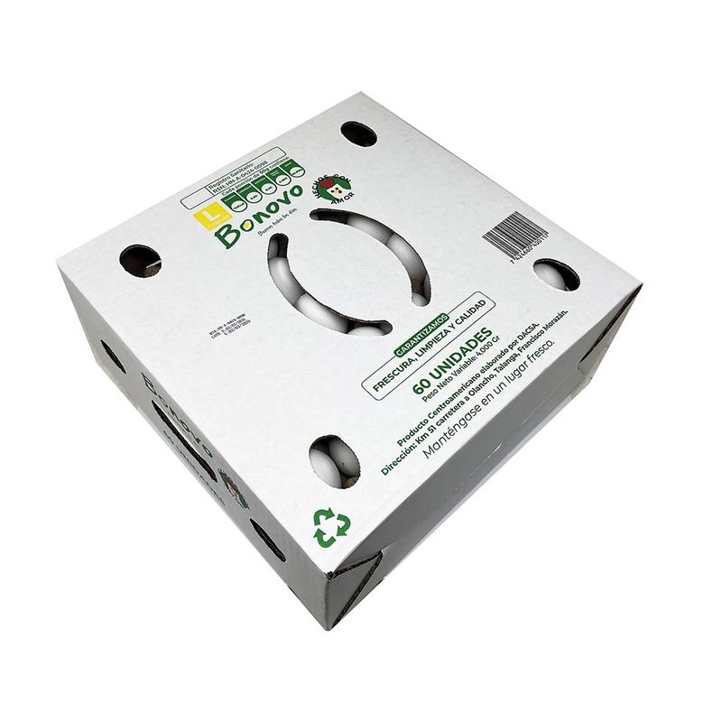 Huevo Bonovo Grande Caja 60und