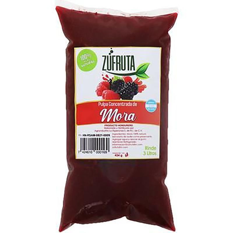 Pulpa  Concentrado Mora 454g