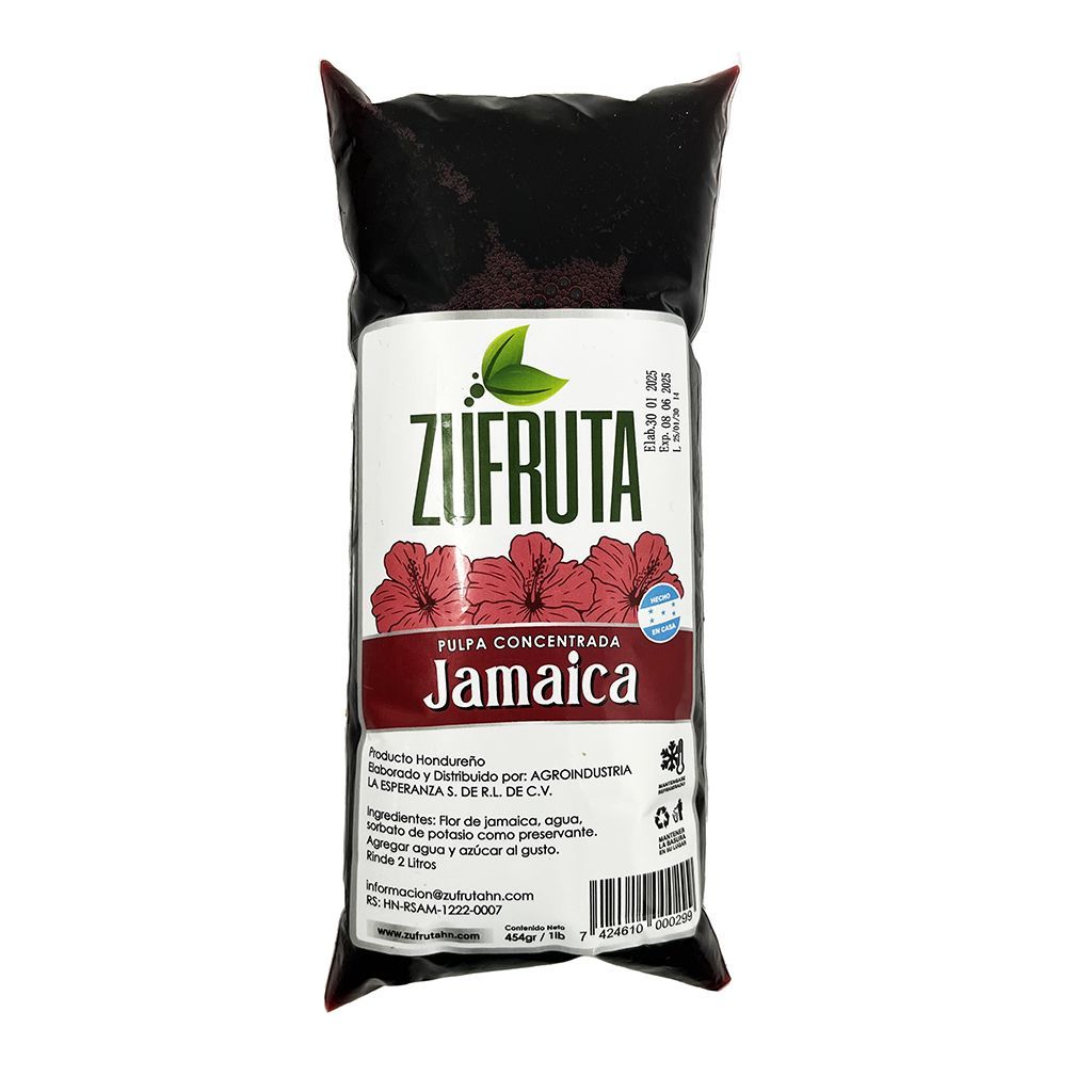 Pulpa Concent Jamaica 454g