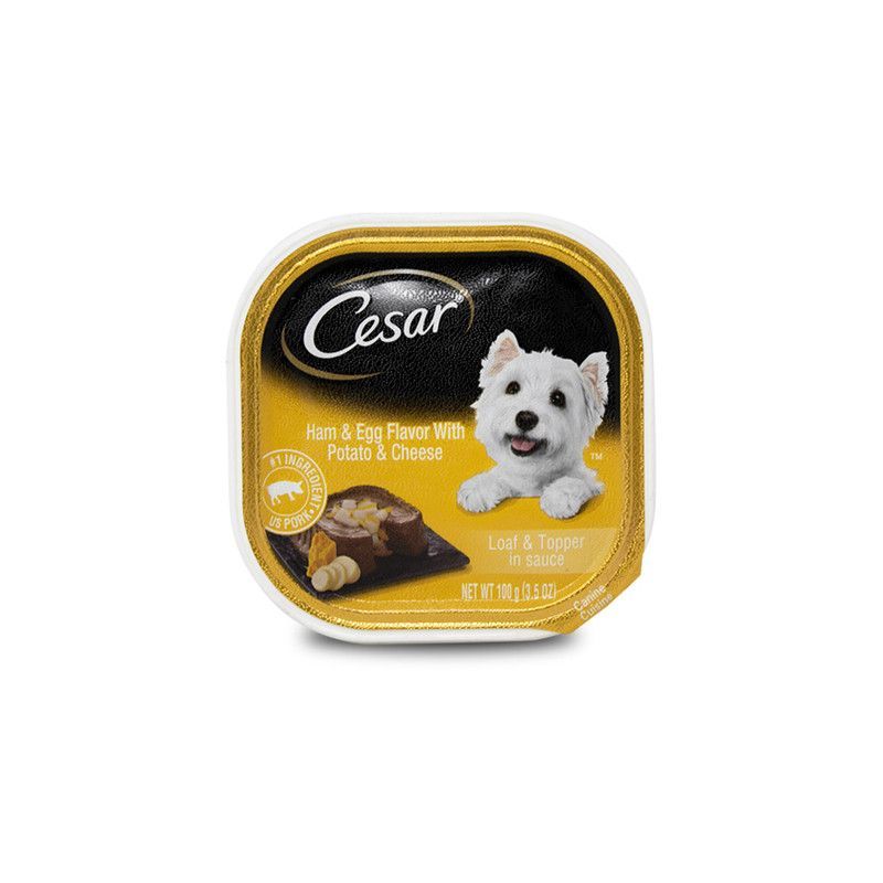 Potato &amp; Cheese Cesar 3.5 Oz