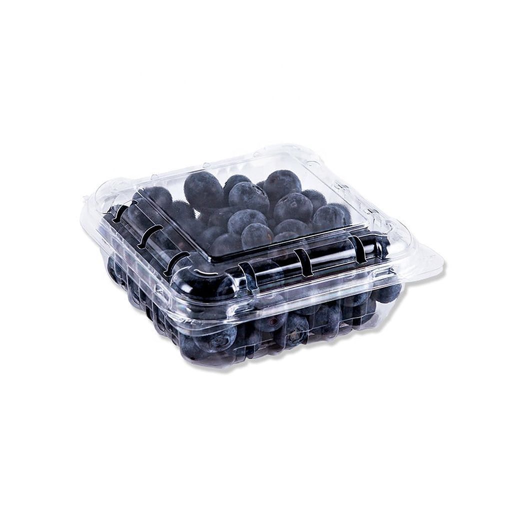 Clamshell Arandano 6 Onzas
