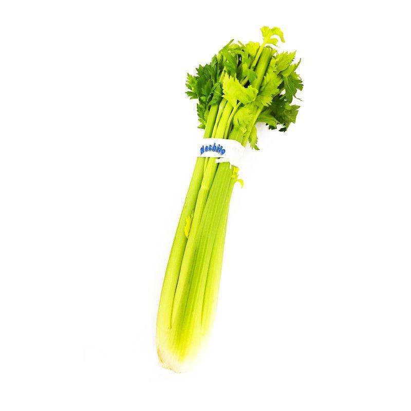 Apio Exportacion Mazo Pequeno