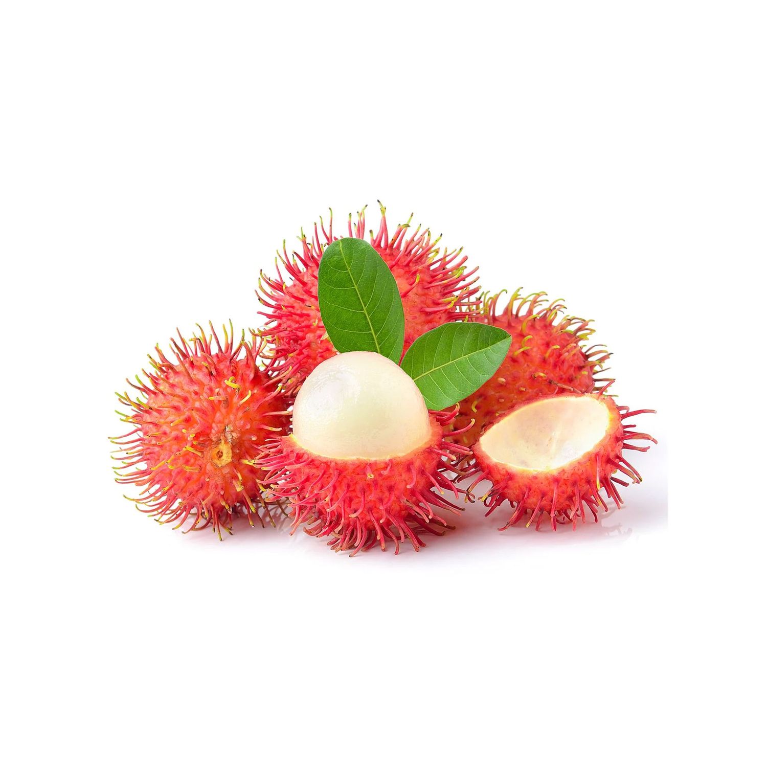 Rambutan Lb