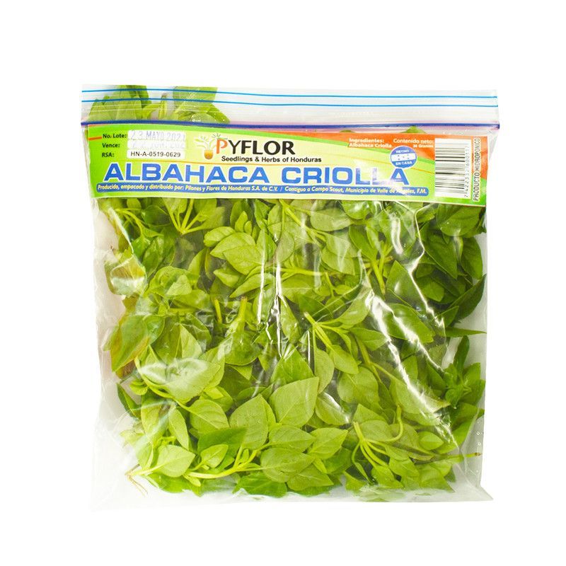 Albahaca Criolla