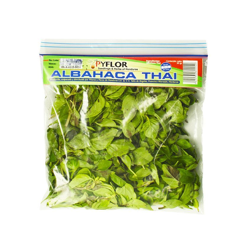 Albahaca Thai