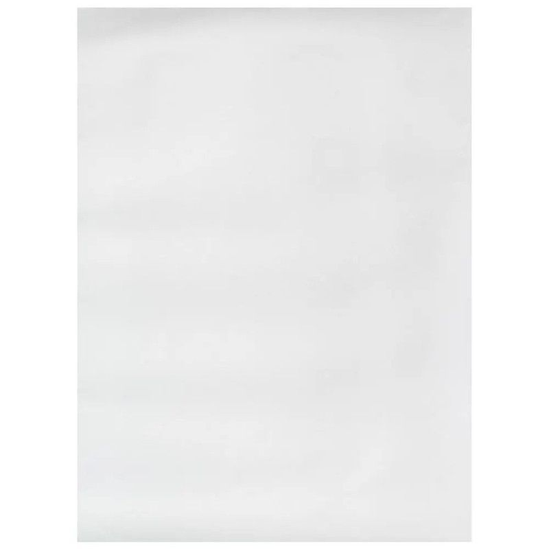 Cartulina Blanca Pacasa 20x28