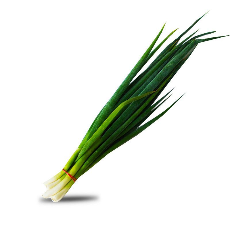 Cebollin Manojo Plus