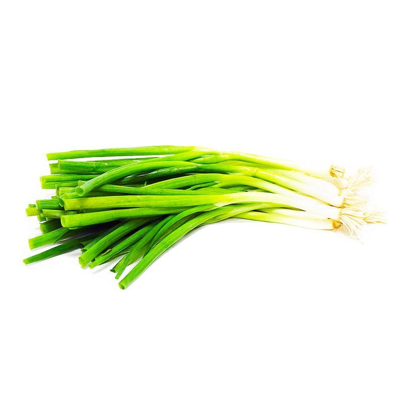 Cebollin U