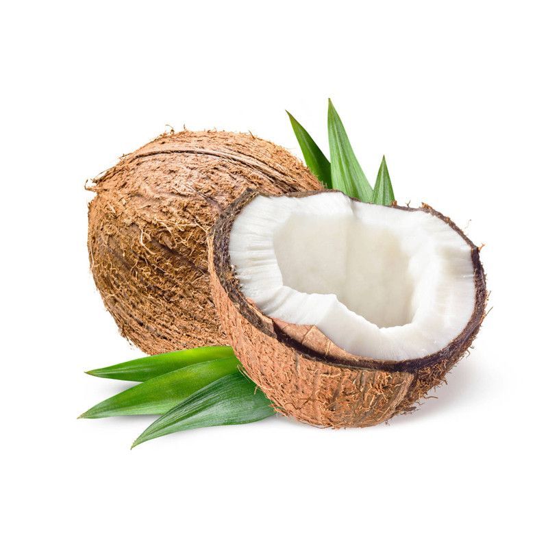 Coco Seco Und
