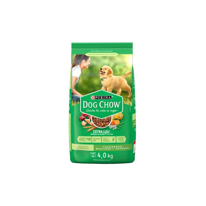 Comida Dog Chow 4kg