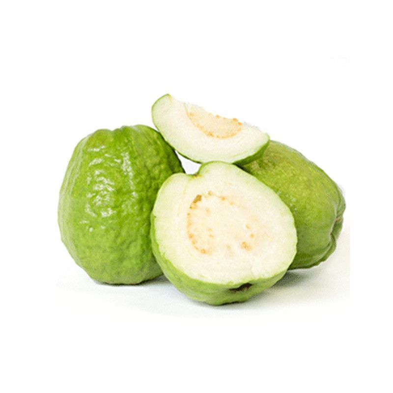 Guayaba Taiwanesa Lb