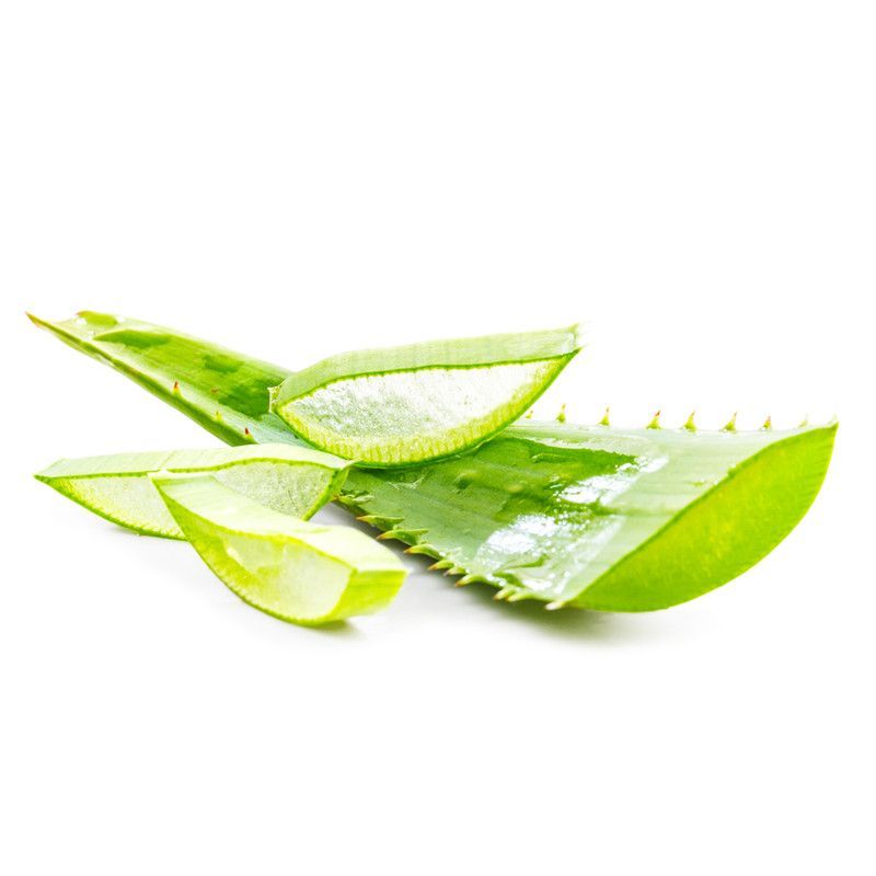 Hoja De Aloe Vera Lb (sabila)