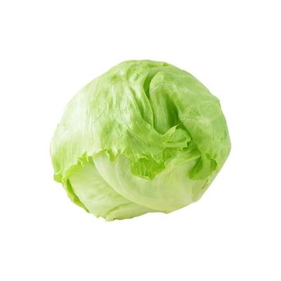 Lechuga Iceberg Lb