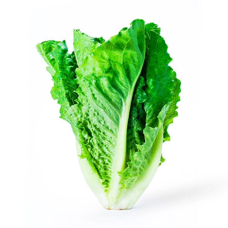 Lechuga Romana Unidad