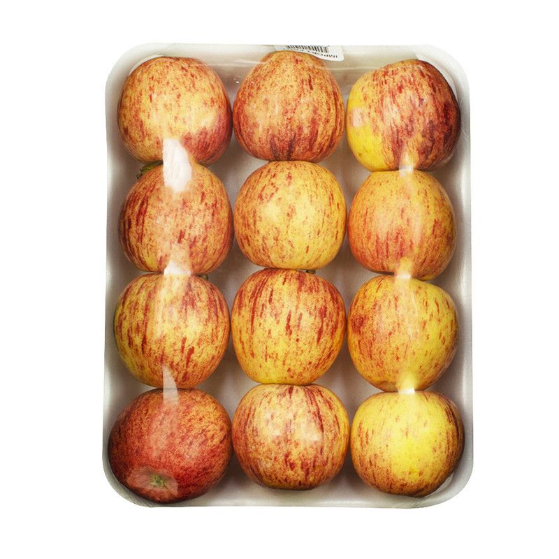 Manzana Infantil Gala 12u