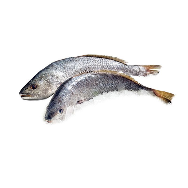 Pescado Entero Corvina Lb