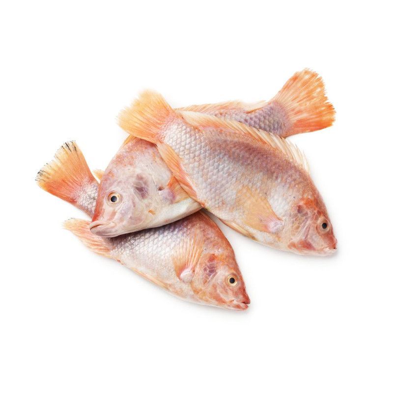 Pescado Entero Tilapia Roja Lb