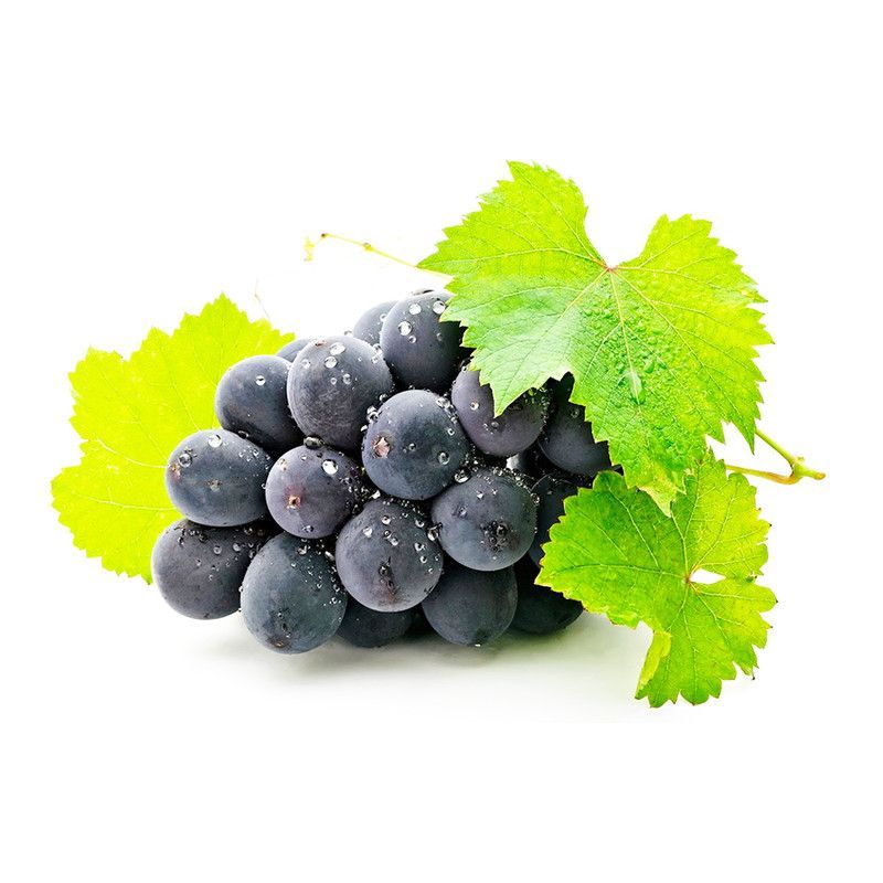 Uva Negra Lb