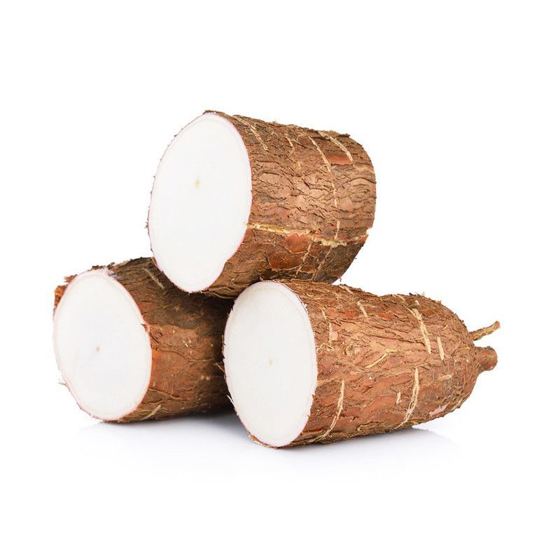 Yuca Criolla