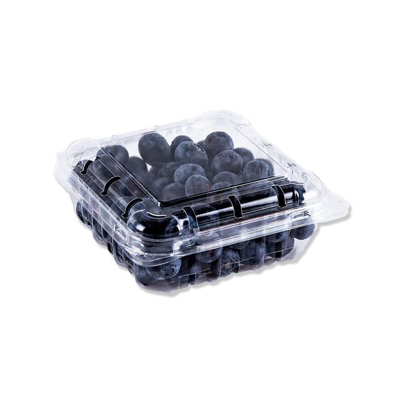 Blueberries