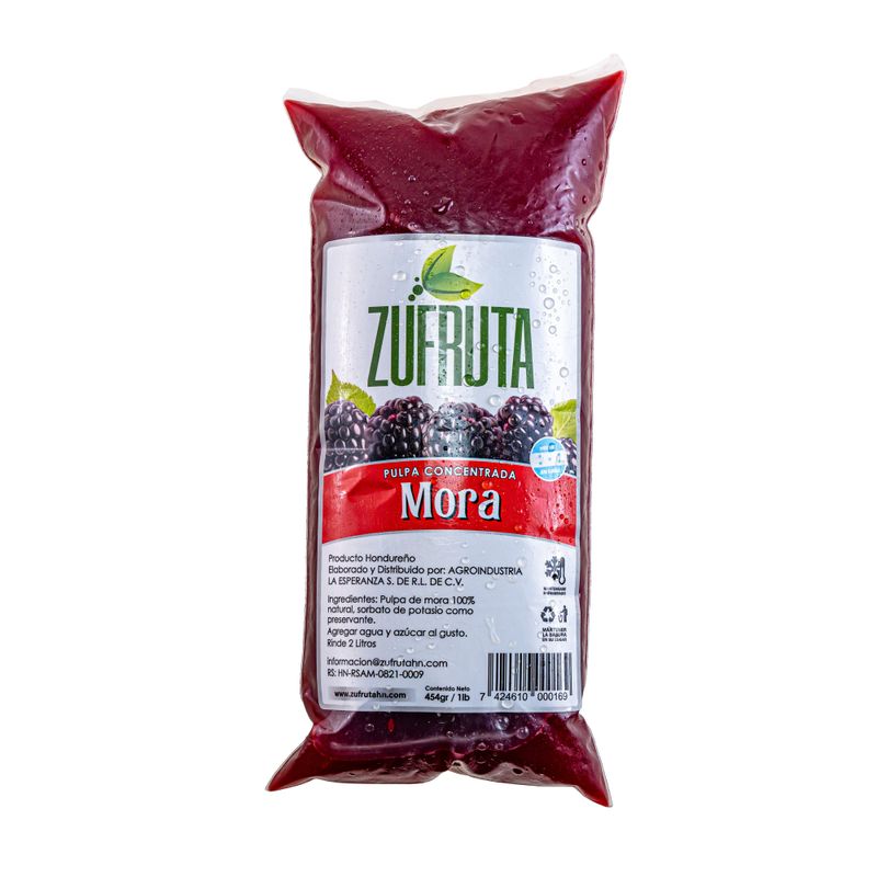 Pulpa  Concentrado Mora 454g