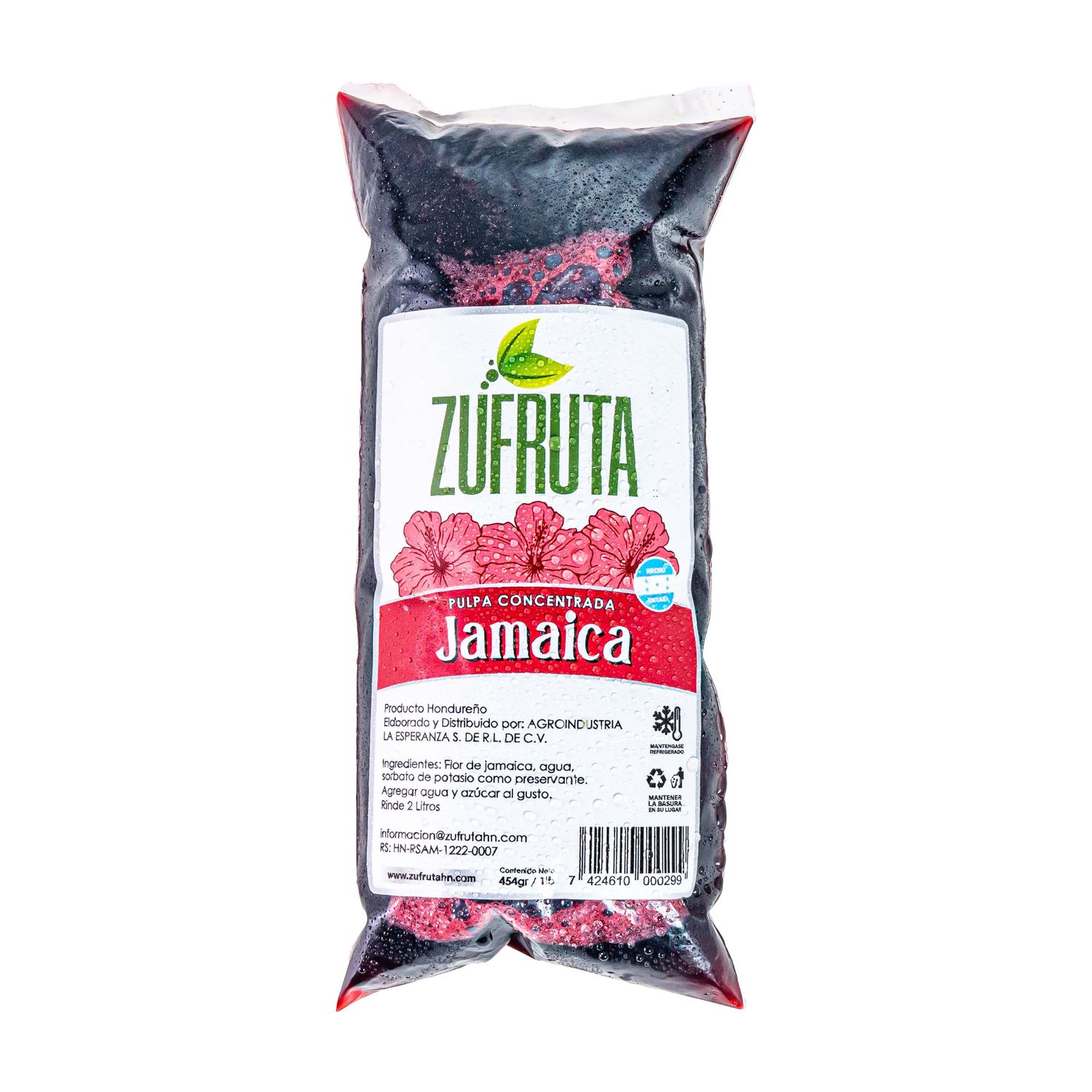 Pulpa Concent Jamaica 454g