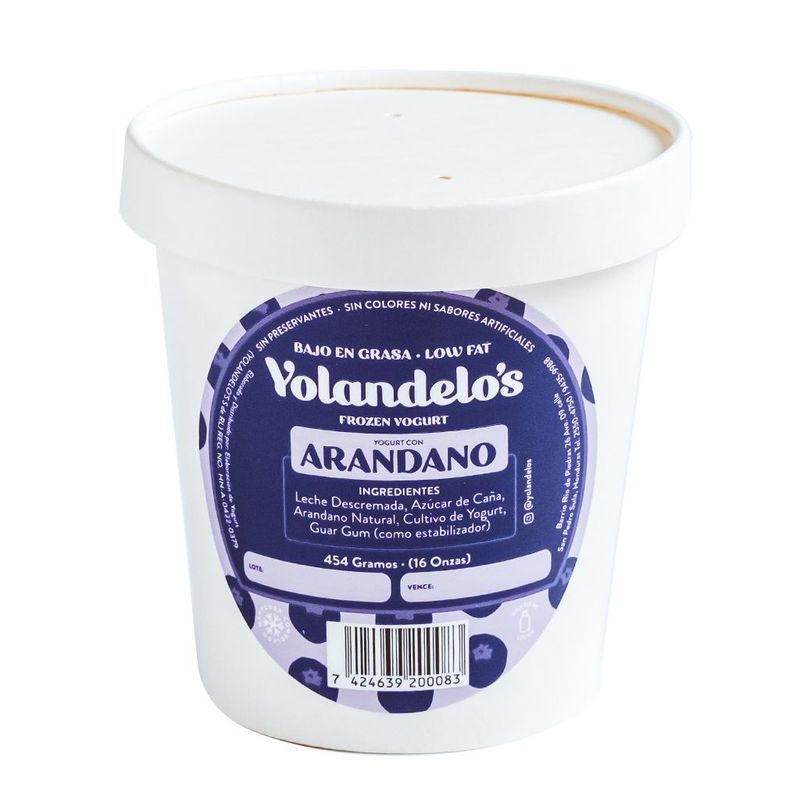 Yogurt Congelado Arandan 16 Oz