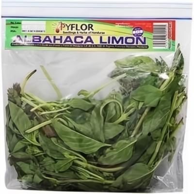 Albahaca Limon