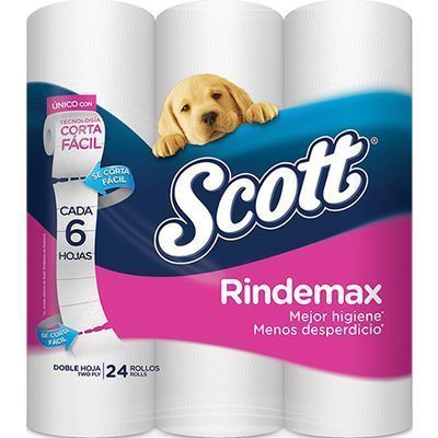 Pap Hig Scott Rindemax 2x24rll