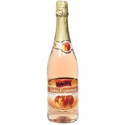 Sidra Wells S/a Melot 750ml
