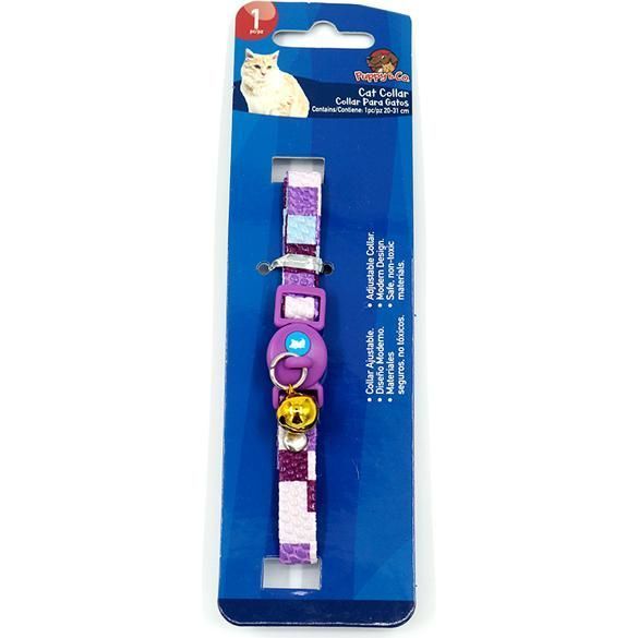 Collar Y Correa Mascota