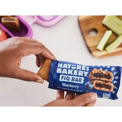 Rasp Blueberry Bar Natures 2 Z