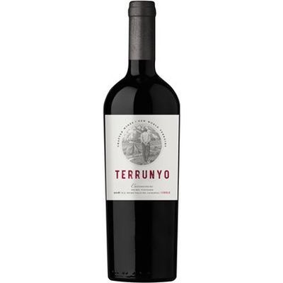 Vino Tinto Terruny Carme 750ml