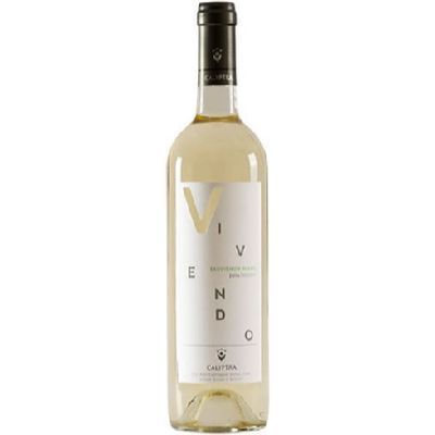 Vino Vivendo Sauvig Blco 750ml