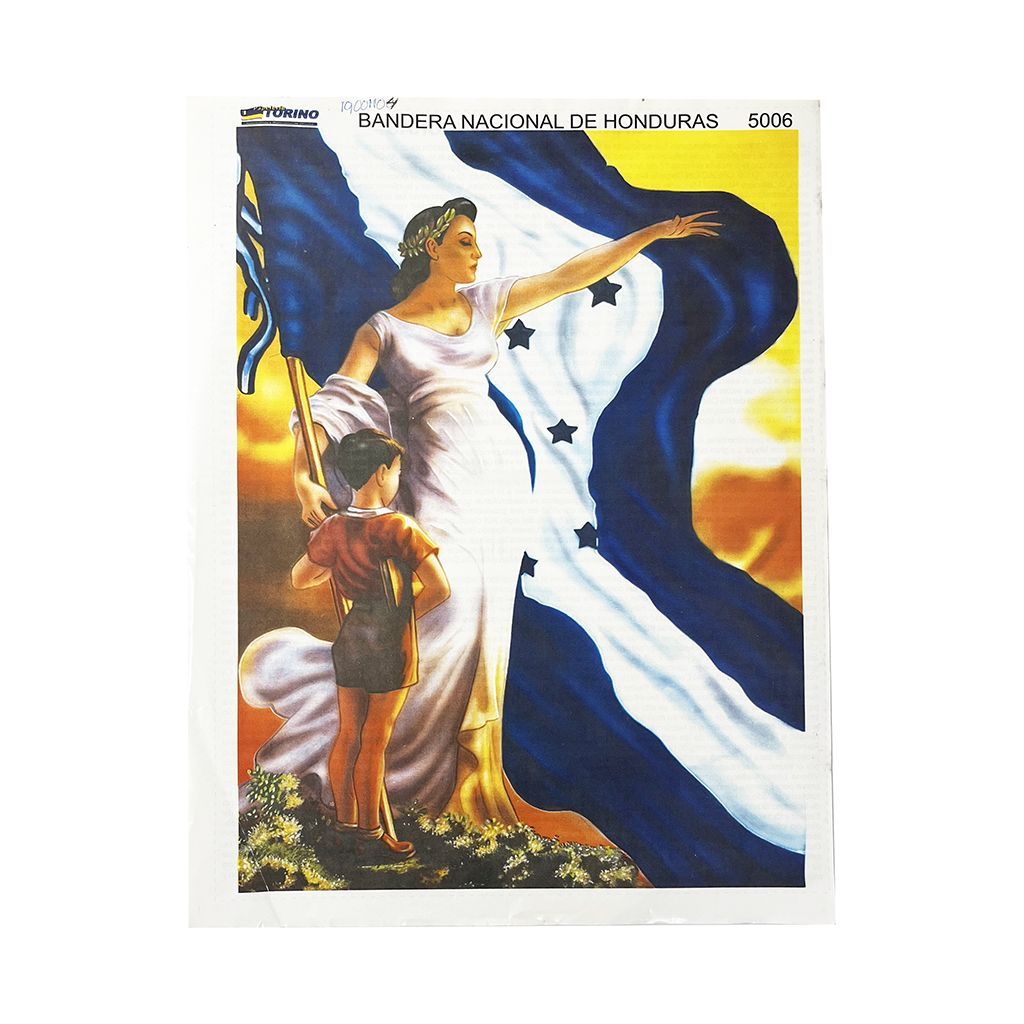 Lamina Educ.ss5006 Bandera Nac