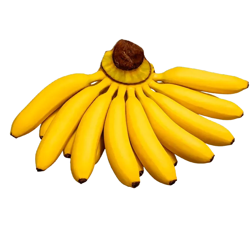 Datil Lb