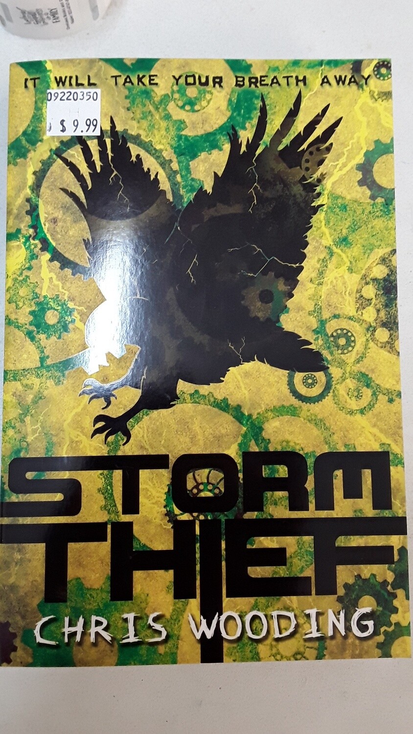 Storm Thief (2006) by Chris Wooding
