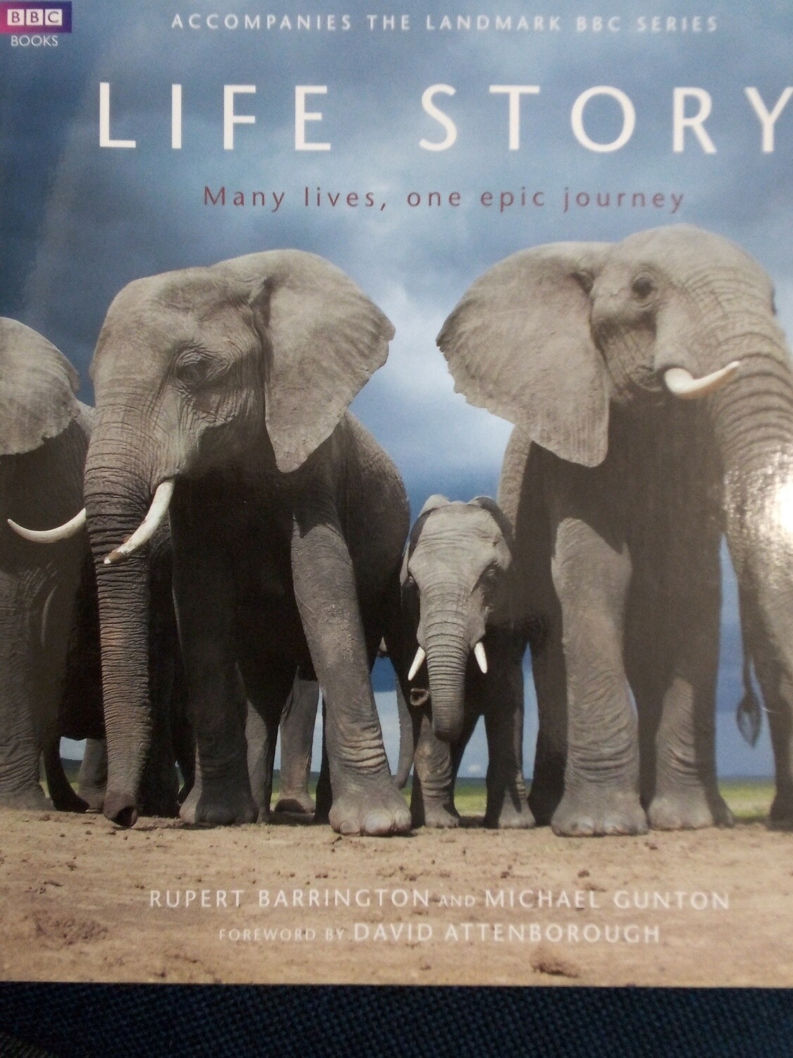 Life Story - Rupert Barrington