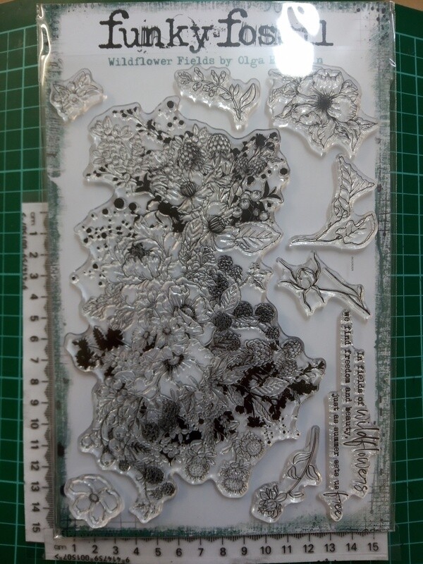 Funky Fossil A5 Stamps