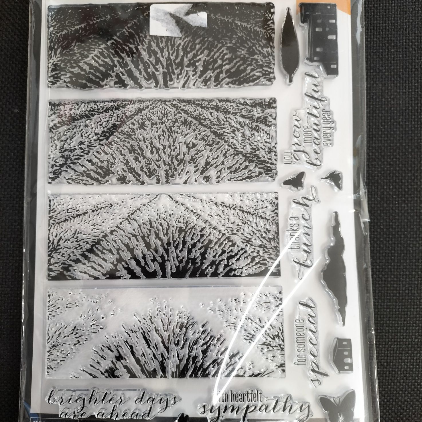Hero Arts Heroscapes Lavender Field Stamp and Die