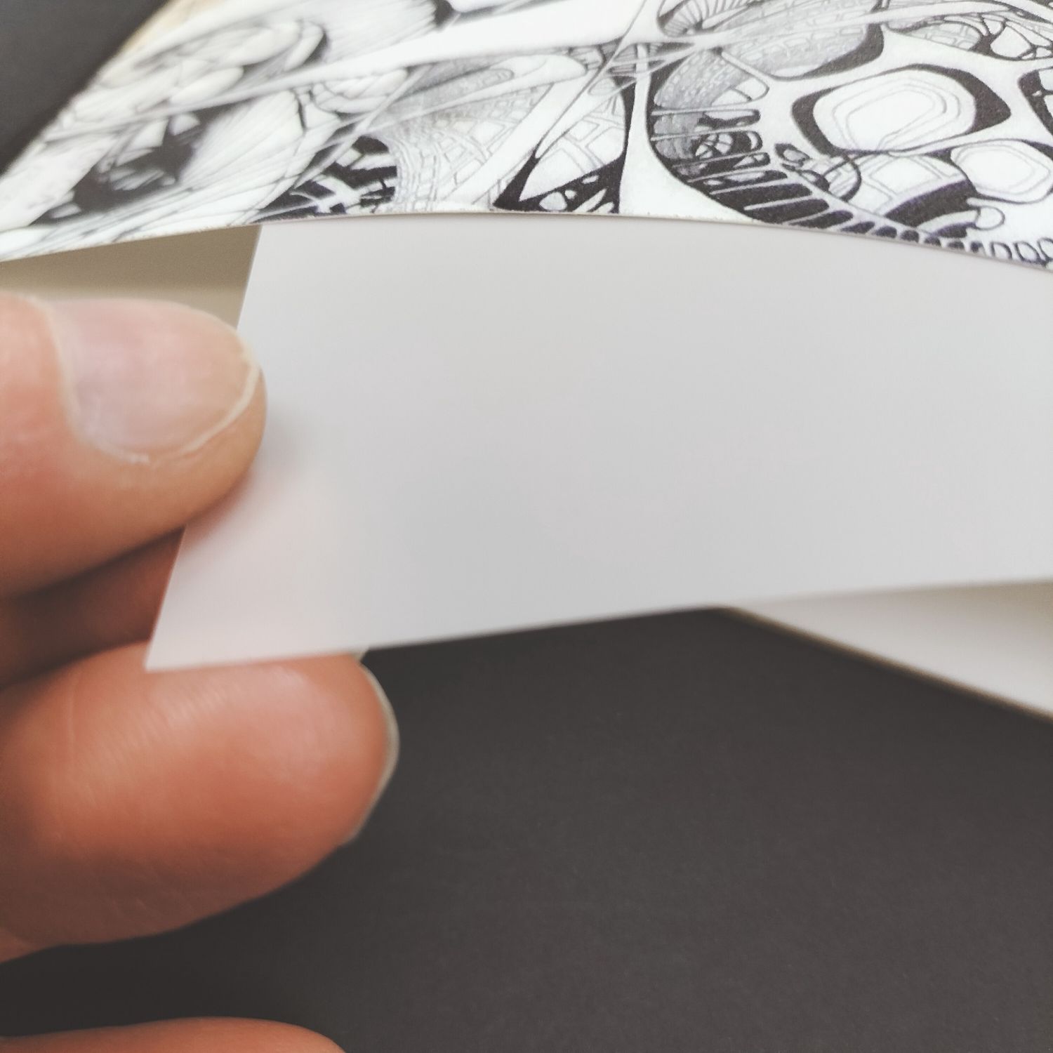 Dura-Lar Matte  Film 9x12&quot;, Quantity: Single Sheets
