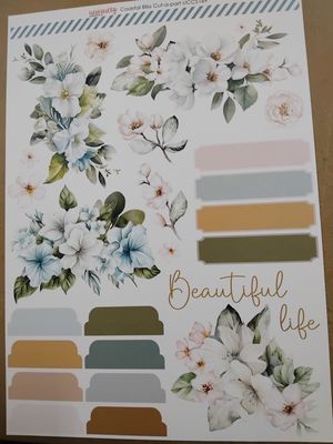 Coastal Bliss Collection