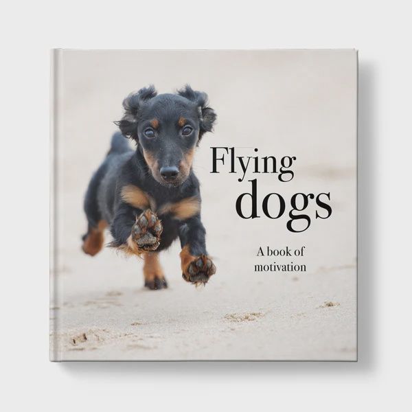 Motivational Books 155mm Sq 108pgs hard Cover, Title: Flying Dogs