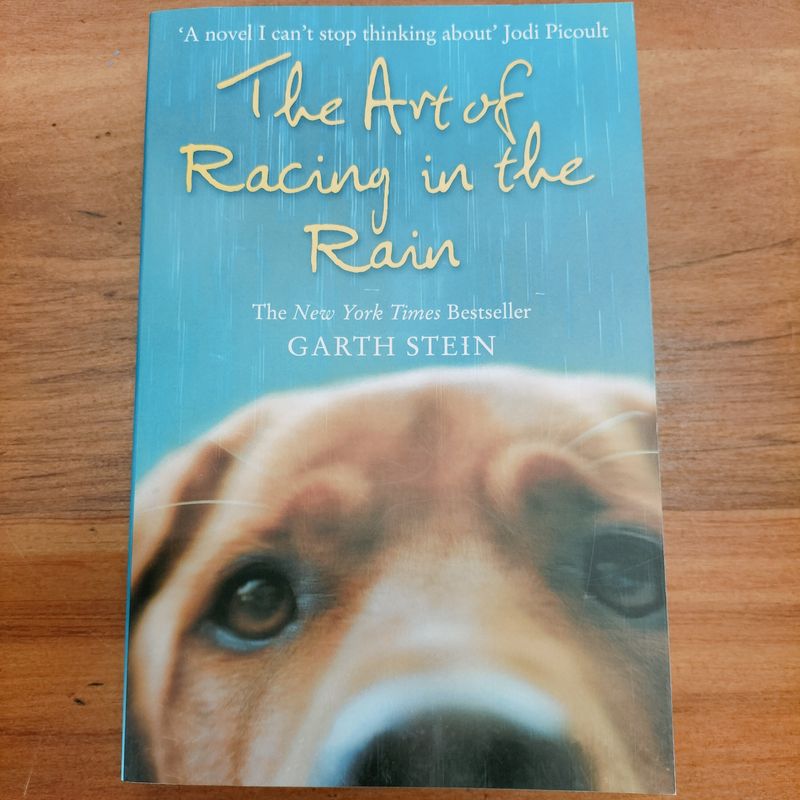 The Art of Racing in the Rain - Garth Stein (2009)